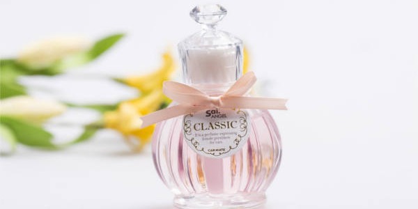 Perfumy jako prezent pod choinkę dla kobiet